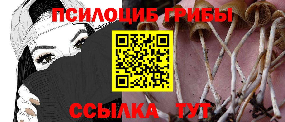 Галлюциногенные грибы мухоморы Минеральные Воды