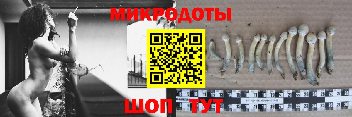 Галлюциногенные грибы мицелий  Вход с VPN  Минеральные Воды 